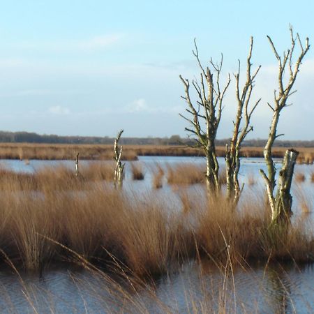 Bitter En Zoet Hotel Veenhuizen ภายนอก รูปภาพ