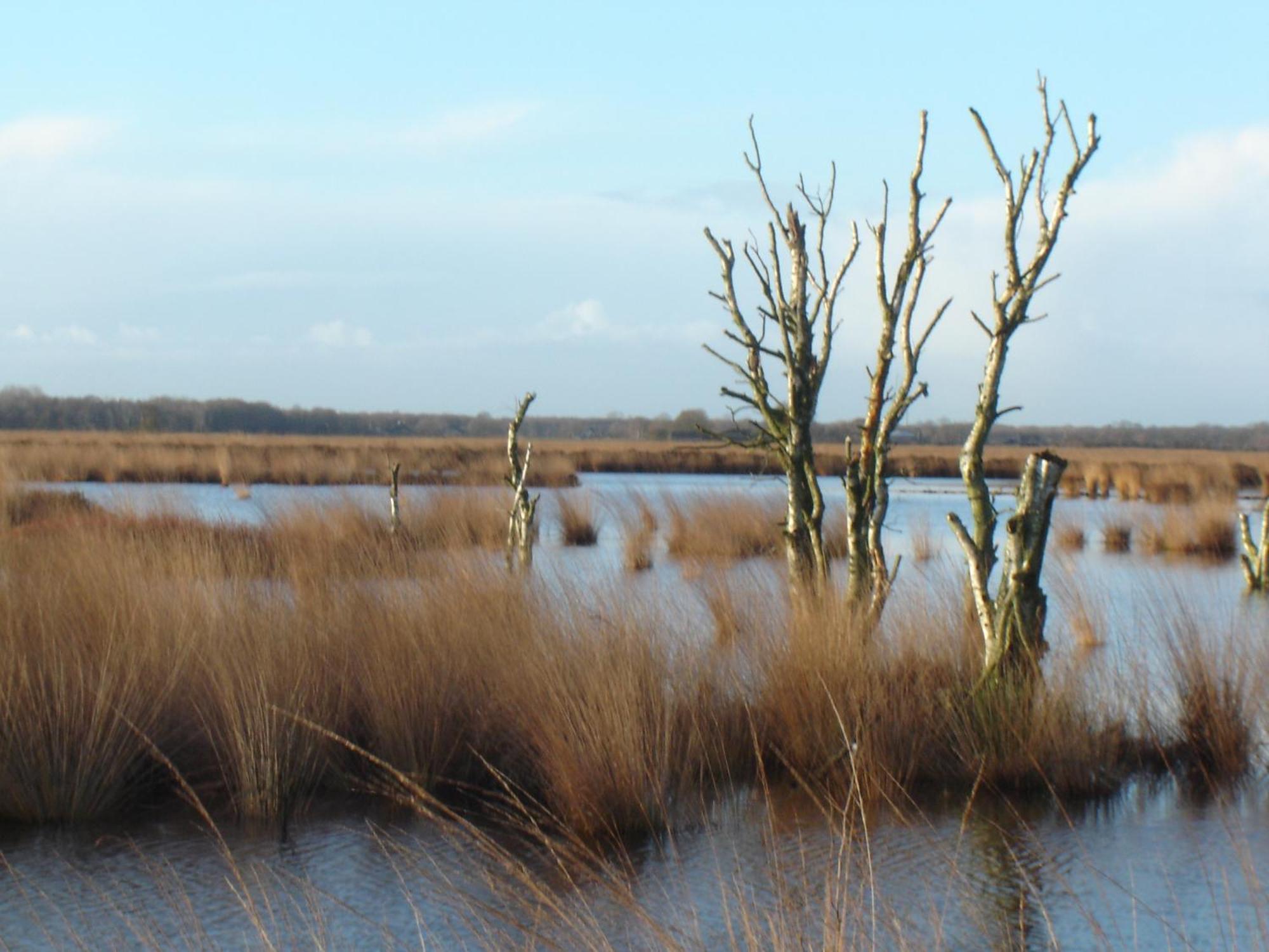 Bitter En Zoet Hotel Veenhuizen ภายนอก รูปภาพ